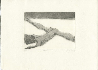 Aquatinte représentant une femme nue couchée sur le ventre. Elle fait le grand écart. Artiste, Martes Martes. Lieu, Nuremberg.