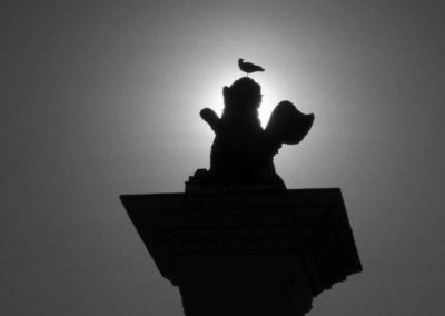 Photo noir et blanc représentant une sculpture de lion montée sur une colonne en contre-jour. Sur la tête du monument, un oiseau a élu domicile. Artiste, Martes Martes. Lieu, Venise.